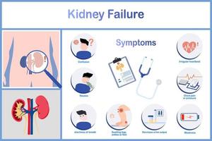 vector illustration.Symptoms of kidney failure incluing nausea and vomitting Irregular heartbeat,decreased urination,chest pain and pressure.including edema.flat stye.healthcare and medical concept.