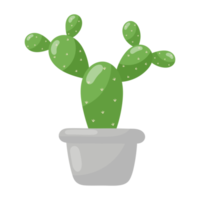 icono de cactus de dibujos animados. png