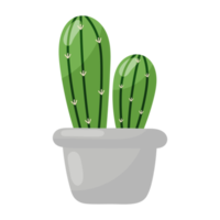 icono de cactus de dibujos animados. png