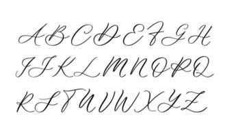 Vector of stylized calligraphic font and alphabet.