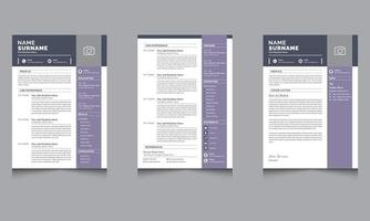 Professional Resume Layout with Cover Letter Design CV Templates vector