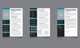 Creative and professional Resume and Cover Letter with Light Black Sidebar Cv Template vector