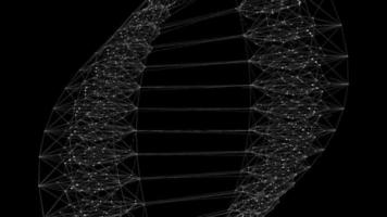 cadeia de dna wireframe em fundo preto - conceito de ciência, loop sem costura video