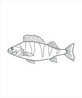 ilustración de un arte de línea de pescado en blanco vector