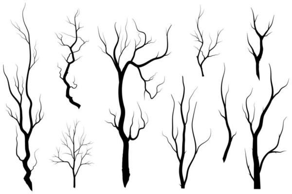 Trees with green leaves look beautiful and refreshing. Tree and roots LOGO style.