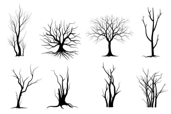 Trees with green leaves look beautiful and refreshing. Tree and roots LOGO style.