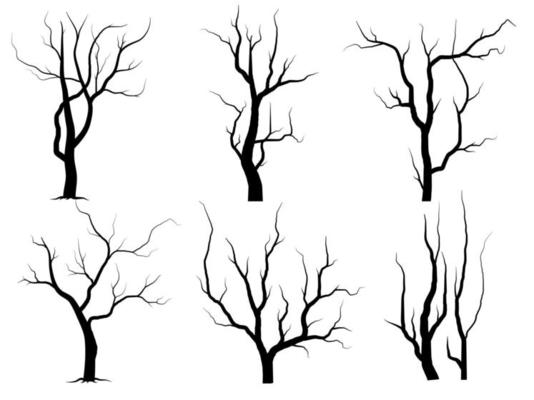 Black Branch Tree or Naked trees silhouettes set. Hand drawn isolated illustrations.