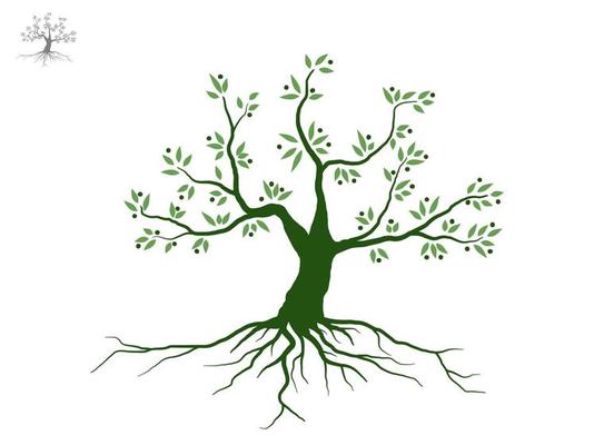 Trees and root with green leaves look beautiful and refreshing. Tree and roots LOGO style.