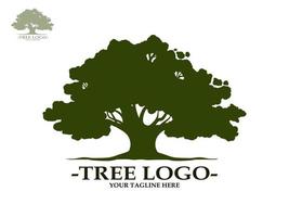 los árboles con hojas verdes se ven hermosos y refrescantes. estilo de logotipo de árbol y raíces. vector