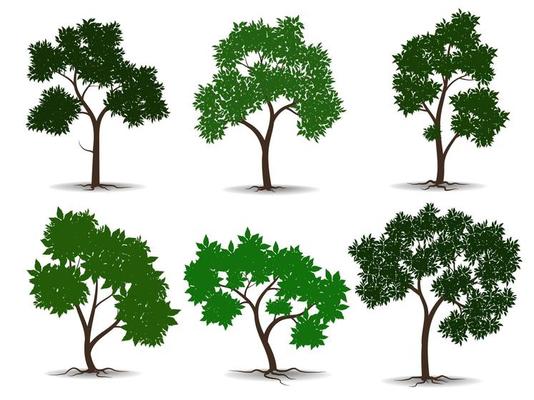 Collection of flat trees Icon. Can be used to illustrate any nature or healthy lifestyle topic.