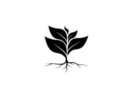 Trees and root with green leaves look beautiful and refreshing. Tree and roots LOGO style. vector