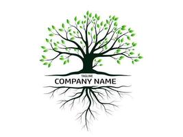 Trees and root with green leaves look beautiful and refreshing. Tree and roots LOGO style. vector