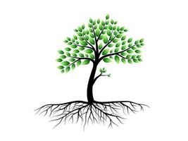 Trees with green leaves look beautiful and refreshing. Tree and roots LOGO style. vector