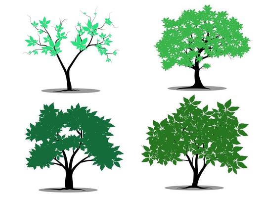 Green Branch Tree or Naked trees silhouettes set. Hand drawn isolated illustrations.