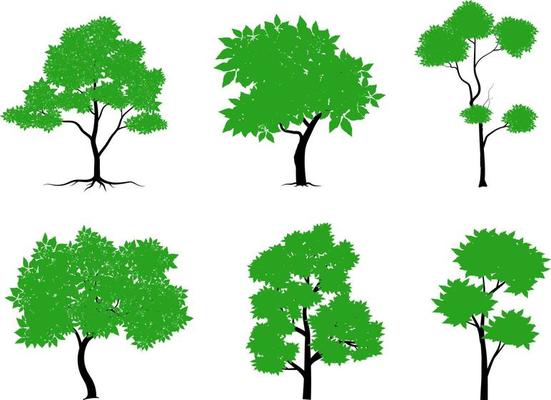 Collection of flat trees Icon. Can be used to illustrate any nature or healthy lifestyle topic.