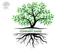 Trees and root with green leaves look beautiful and refreshing. Tree and roots LOGO style. vector