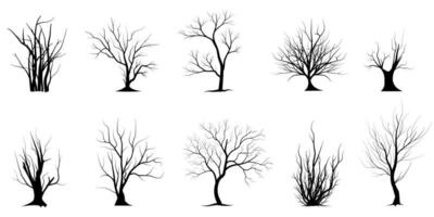 Trees with green leaves look beautiful and refreshing. Tree and roots LOGO style. vector