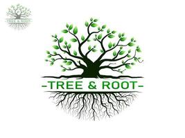 Trees and root with green leaves look beautiful and refreshing. Tree and roots LOGO style. vector