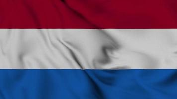 Nederland vlag naadloos lus animatie. de nationaal vlag van Ecuador. video van 3d vlag kleding stof oppervlakte achtergrond in uitstekend kwaliteit
