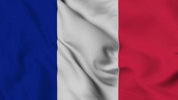 Frankreich-Flagge nahtlose Schleifenanimation. die Nationalflagge von Ecuador. Video des 3D-Hintergrunds der Flaggenstoffoberfläche in ausgezeichneter Qualität