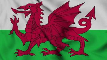 animation en boucle parfaite du drapeau du Pays de Galles. le drapeau national de l'équateur. vidéo de fond de surface de tissu de drapeau 3d en excellente qualité video