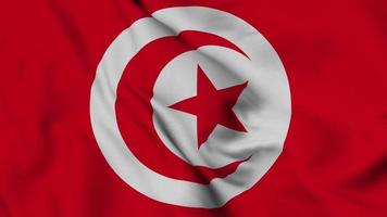 animation en boucle harmonieuse du drapeau de la tunisie. le drapeau national de l'équateur. vidéo de fond de surface de tissu de drapeau 3d en excellente qualité video