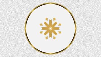 Cool moving backgrounds with a stunning kaleida effect of patterns. Suitable as an overlay and background for intro videos