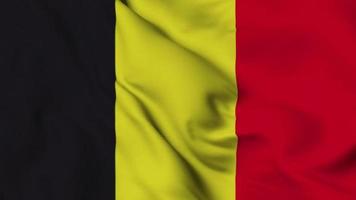 Animación de bucle sin interrupción de la bandera de Bélgica. la bandera nacional de ecuador. video de fondo de superficie de tela de bandera 3d en excelente calidad