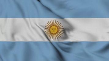 Animación en bucle sin interrupción de la bandera argentina. la bandera nacional de ecuador. video de fondo de superficie de tela de bandera 3d en excelente calidad