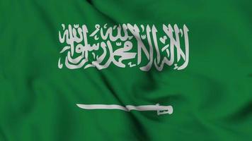 Animación en bucle sin interrupción de la bandera de arabia saudita. la bandera nacional de ecuador. video de fondo de superficie de tela de bandera 3d en excelente calidad