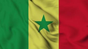 animação de loop sem costura de bandeira do senegal. a bandeira nacional do equador. vídeo de fundo de superfície de tecido de bandeira 3d em excelente qualidade video