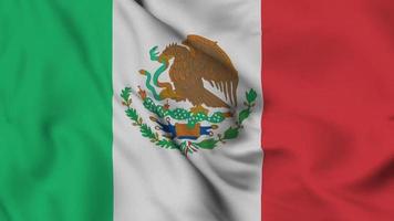 animación de bucle sin interrupción de la bandera de México. la bandera nacional de ecuador. video de fondo de superficie de tela de bandera 3d en excelente calidad