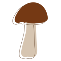 lineart de cogumelo shiitake. cogumelos orgânicos comestíveis. boné marrom trufado. tipos de cogumelos selvagens da floresta. ilustração colorida png. png