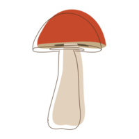 Suillus mushroom lineart. Organic mushrooms. Truffle brown cap. Forest wild mushrooms types. Colorful PNG illustration.