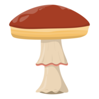 cogumelo amanita. cogumelos orgânicos. boné marrom trufado. tipos de cogumelos selvagens da floresta. ilustração colorida png. png