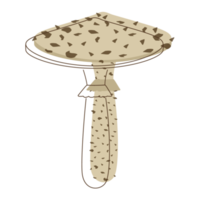 Toadstool mushroom lineart. Organic mushrooms. Truffle brown cap. Forest wild mushrooms types. Colorful PNG illustration.