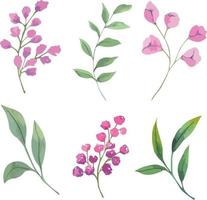 Set of vector watercolor flowers, botanical illustration in magenta color. Ideal for wedding cards, prints, patterns, packaging design.