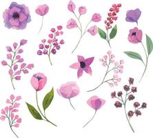 Set of vector watercolor flowers, botanical illustration in magenta color. Ideal for wedding cards, prints, patterns, packaging design.