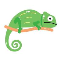 Trendy Chameleon Concepts vector