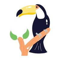 Trendy Toucan Concepts vector