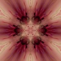 Abstract kaleidoscope background. Beautiful kaleidoscope seamless pattern. Multicolor mosaic texture. Seamless kaleidoscope texture. Unique kaleidoscope design vector