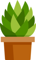 cactus succulent flat color png