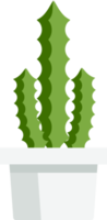 cactus succulento piatto colore png