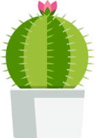 cactus succulent flat color png