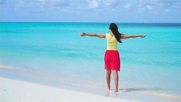 contento ragazza a spiaggia a piedi nel superficiale acqua. lento movimento video. video