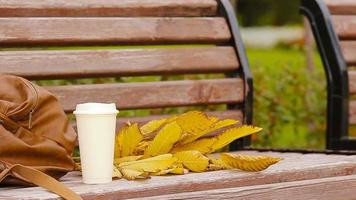 Cup of hot coffee and yellow autumnal leaveas on the park bench video