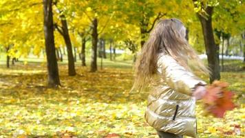 retrato de niña adorable con ramo de hojas amarillas en otoño video