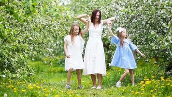 adorables petites filles avec une jeune mère dans un jardin de cerisiers en fleurs le beau jour du printemps video
