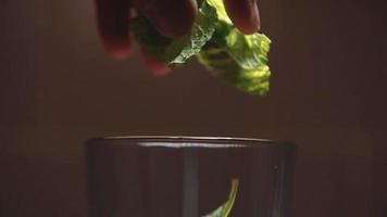 Dropping Mint Leaves into a Glass video