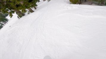 POV-Aufnahme eines Snowboarders, der durch Bäume reitet video